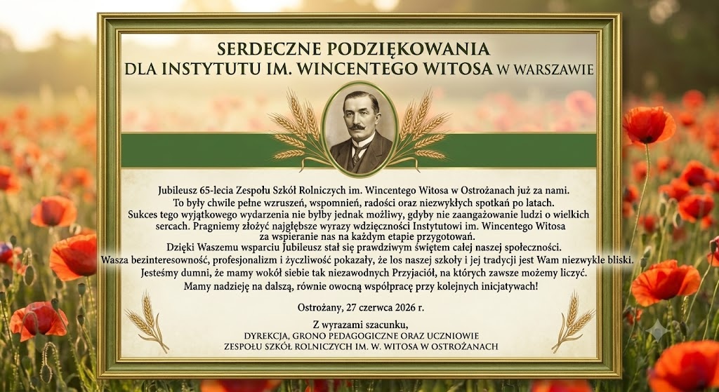 Odnośnik: https://instytutwitosa.com/