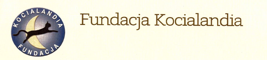Baner z napisem: Fundacja Kociolandia.