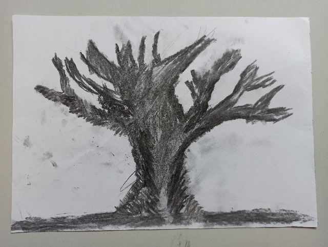 Studium drzewa - Obrazek 1