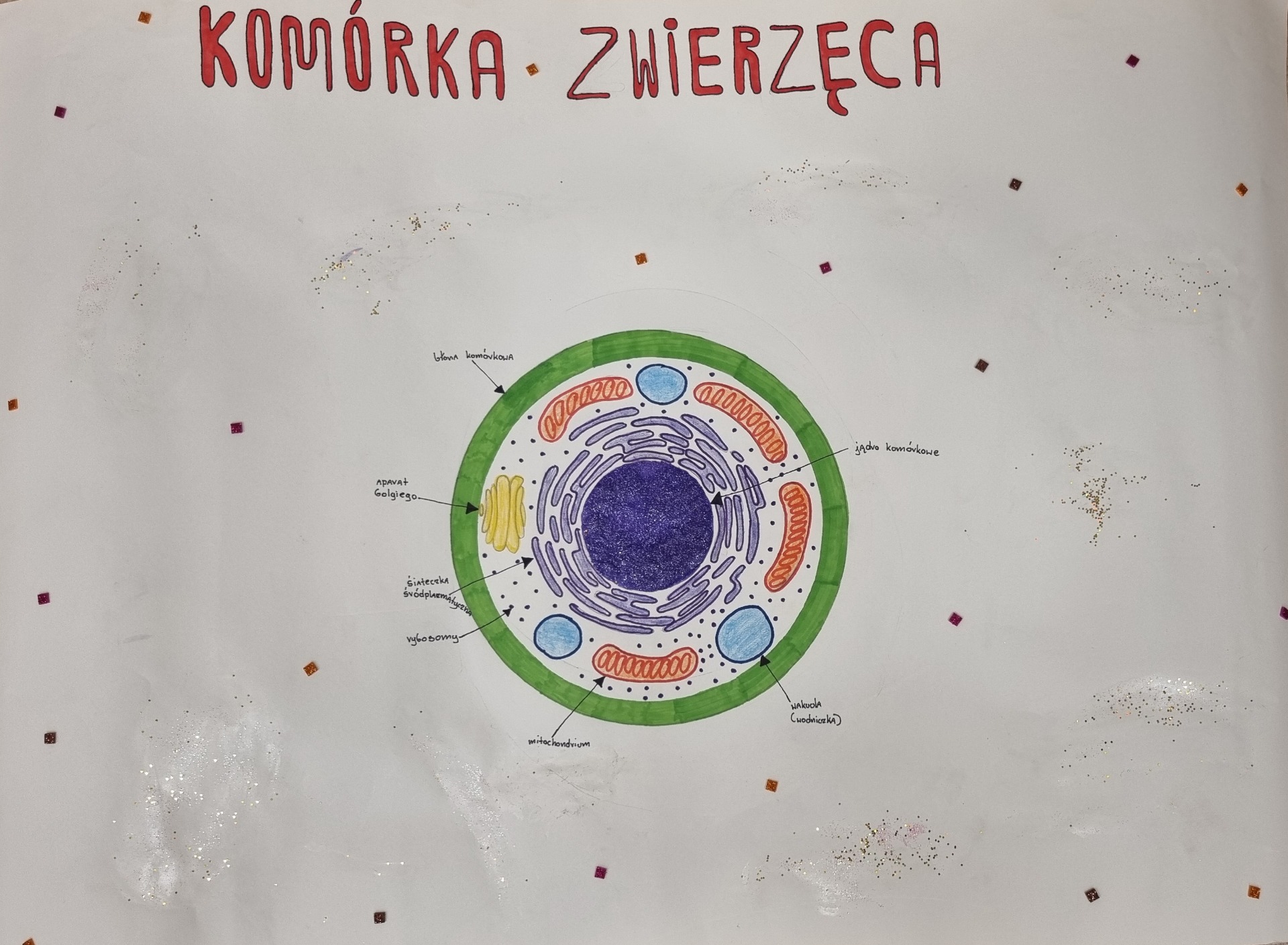 Projekt edukacyjny: „Komórka” - Obrazek 4