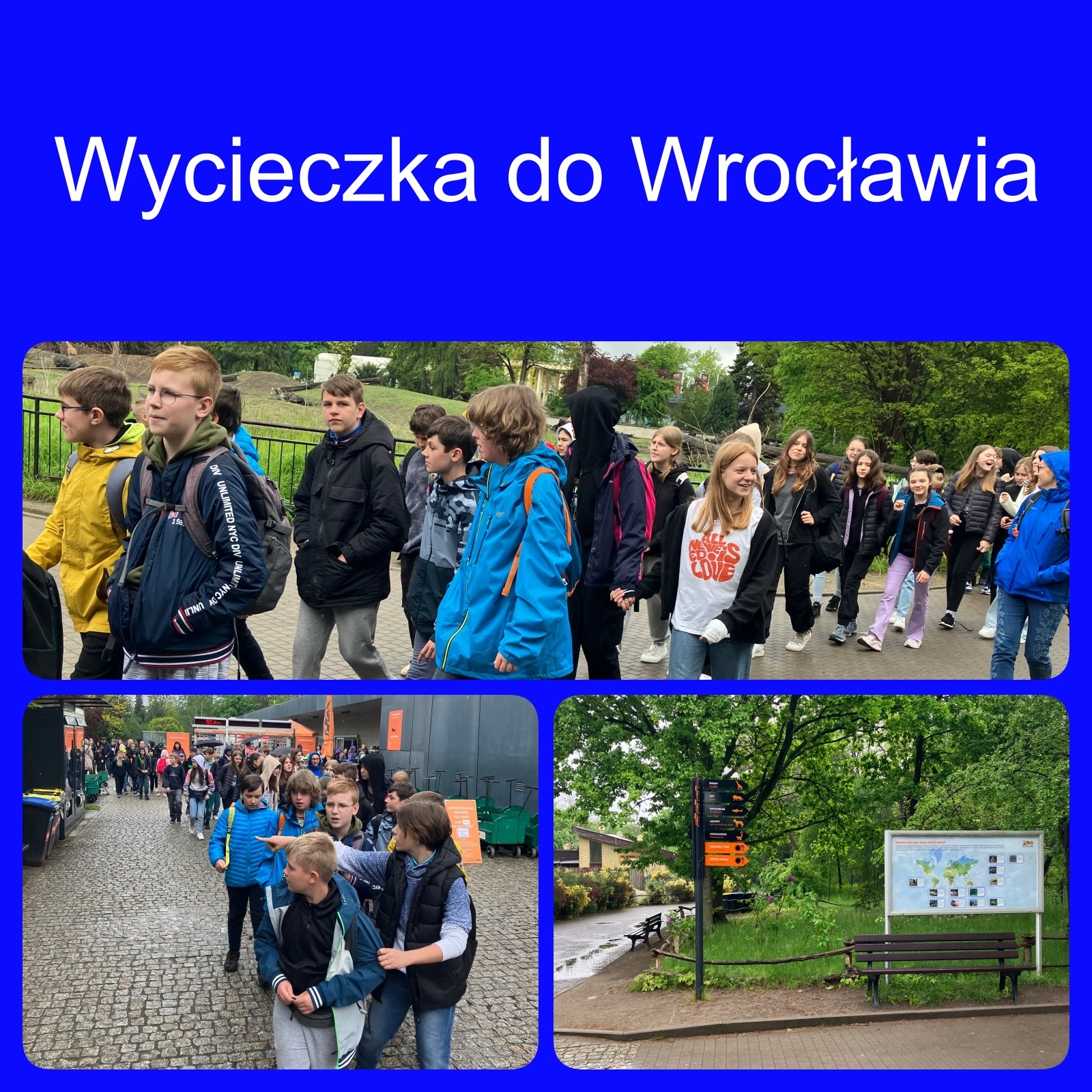 Uczniowie klas 6 i 7 podczas zwiedzania Wrocławia.