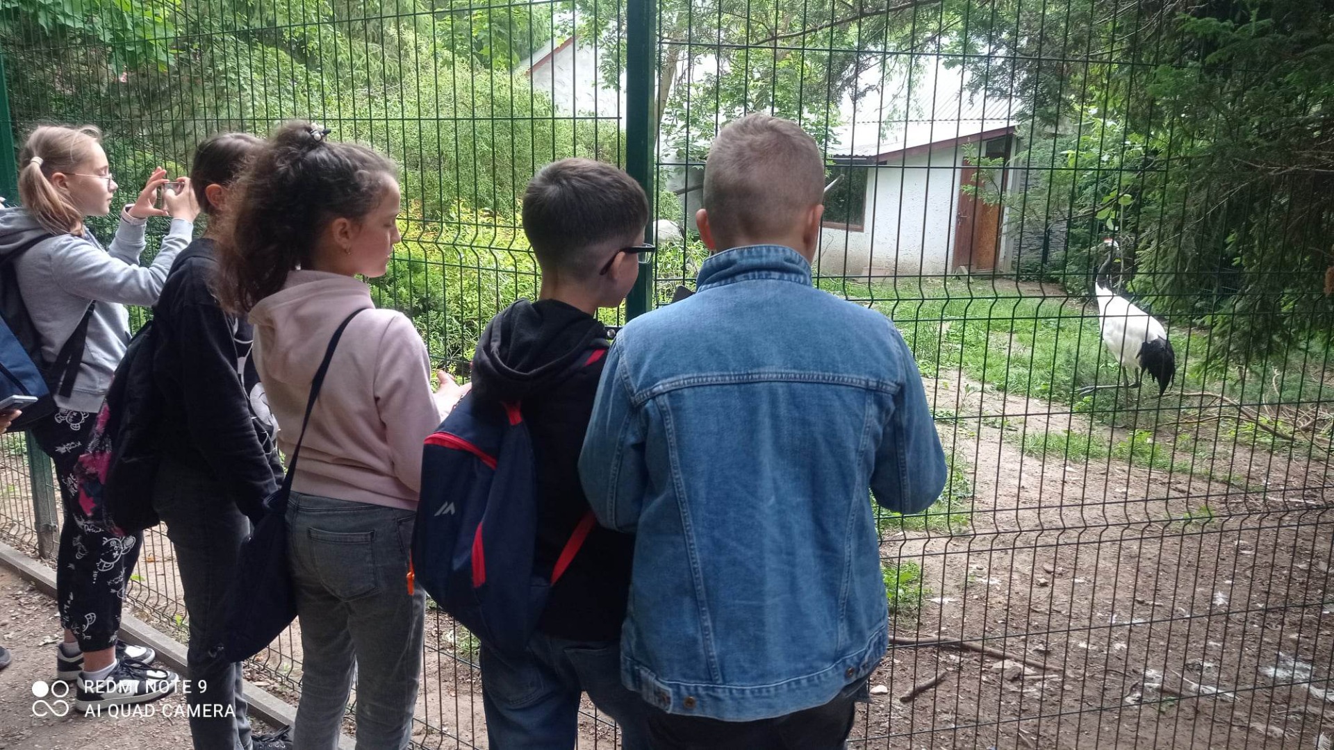Uczniowie oglądają zwierzęta w mini zoo