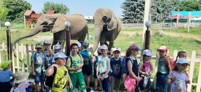 Óvodai kirándulás -Kimba Elefánt Park - Képek 5
