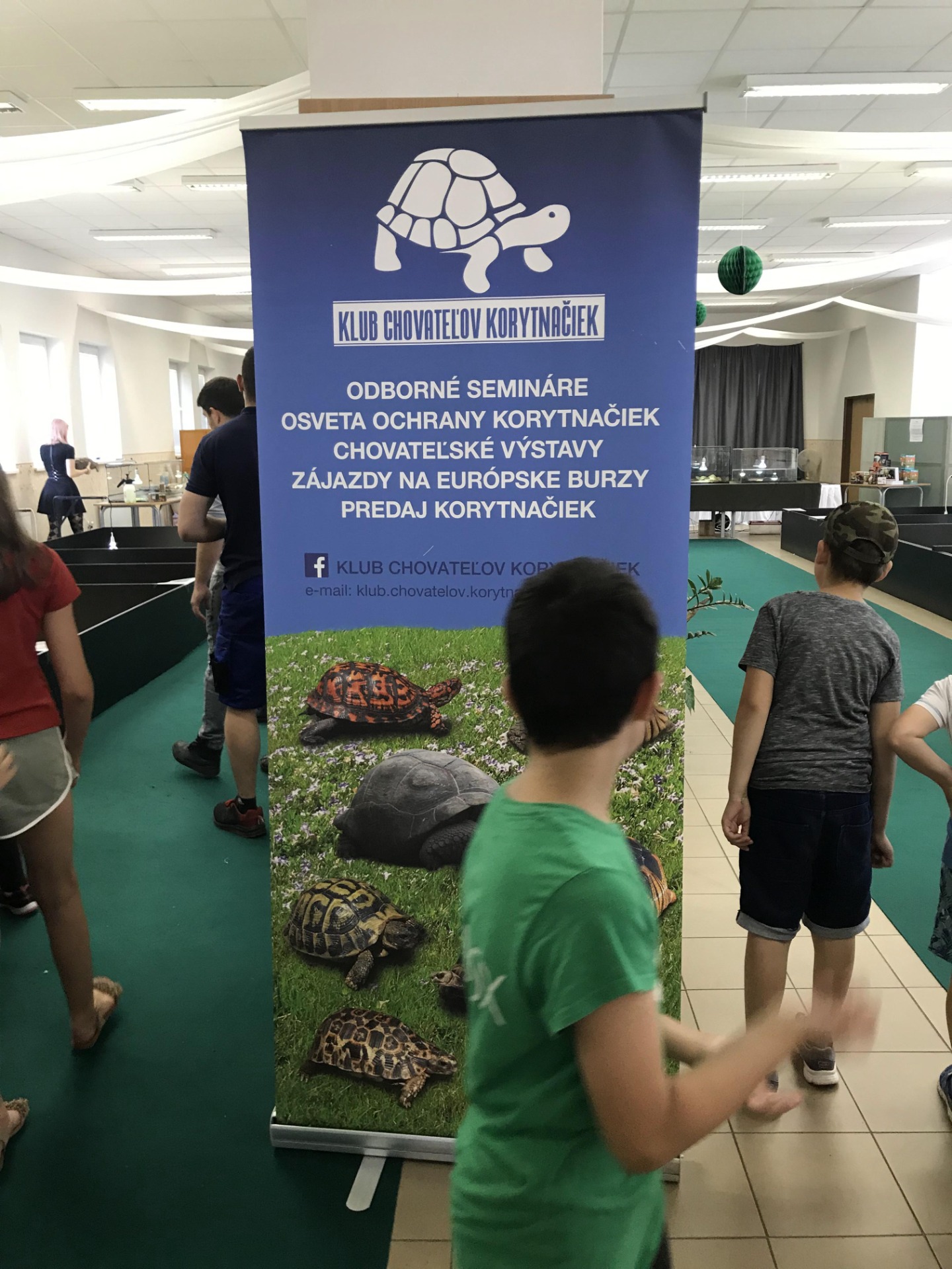 Výstava korytnačiek - Obrázok 2