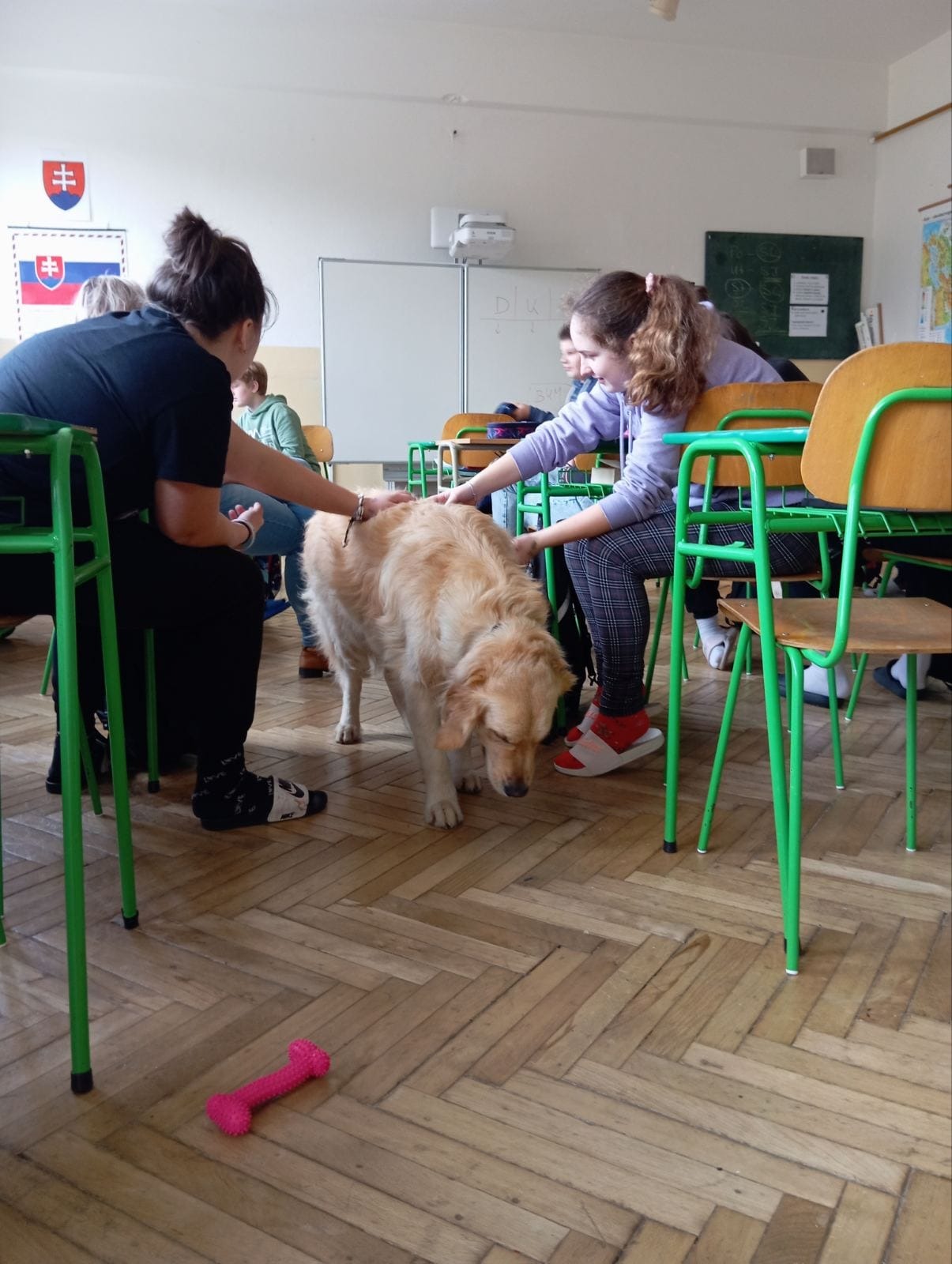 Rozvoj empatie žiakov s asistenciou psa - Obrázok 3