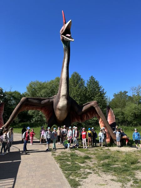 Park linowy i park dinozaurów