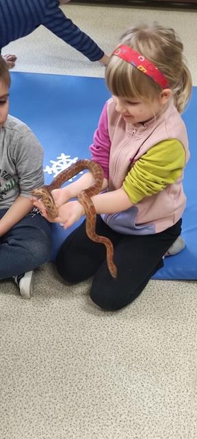 dziewczynka z wężem na rękach