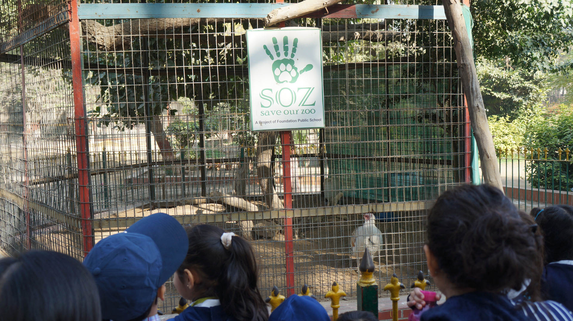 Primary's Trip to the Zoo - Image 6