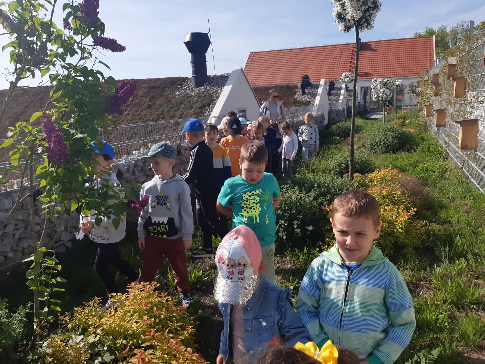Wiosenny spacer przedszkolaków wśród kwitnących bzów i rajskich jabłoni - Obrazek 5