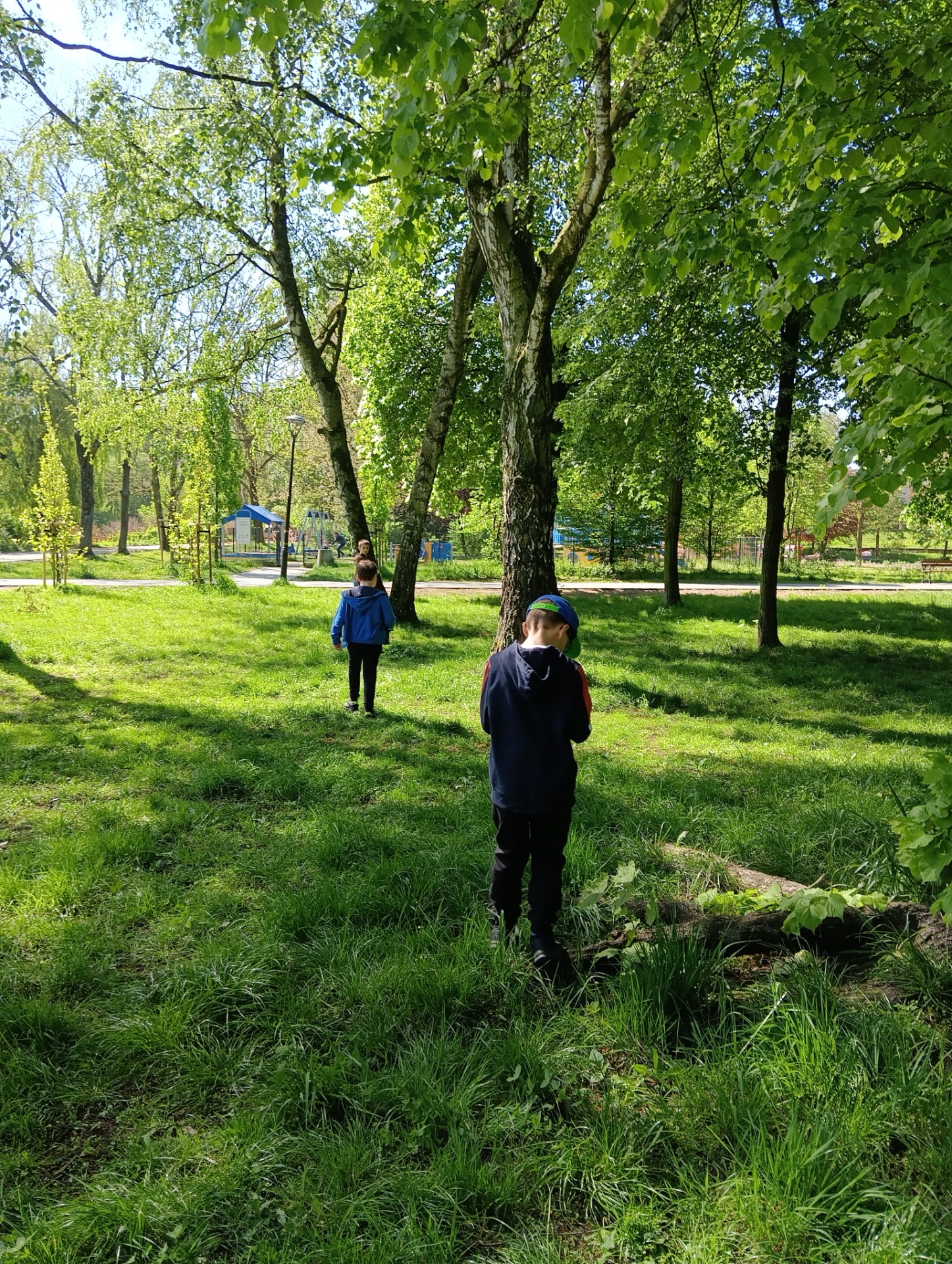 Obserwacje przyrodnicze w parku-kl.2b-P.U.Wawrzyn-Trzewik-2024 - Obrazek 5