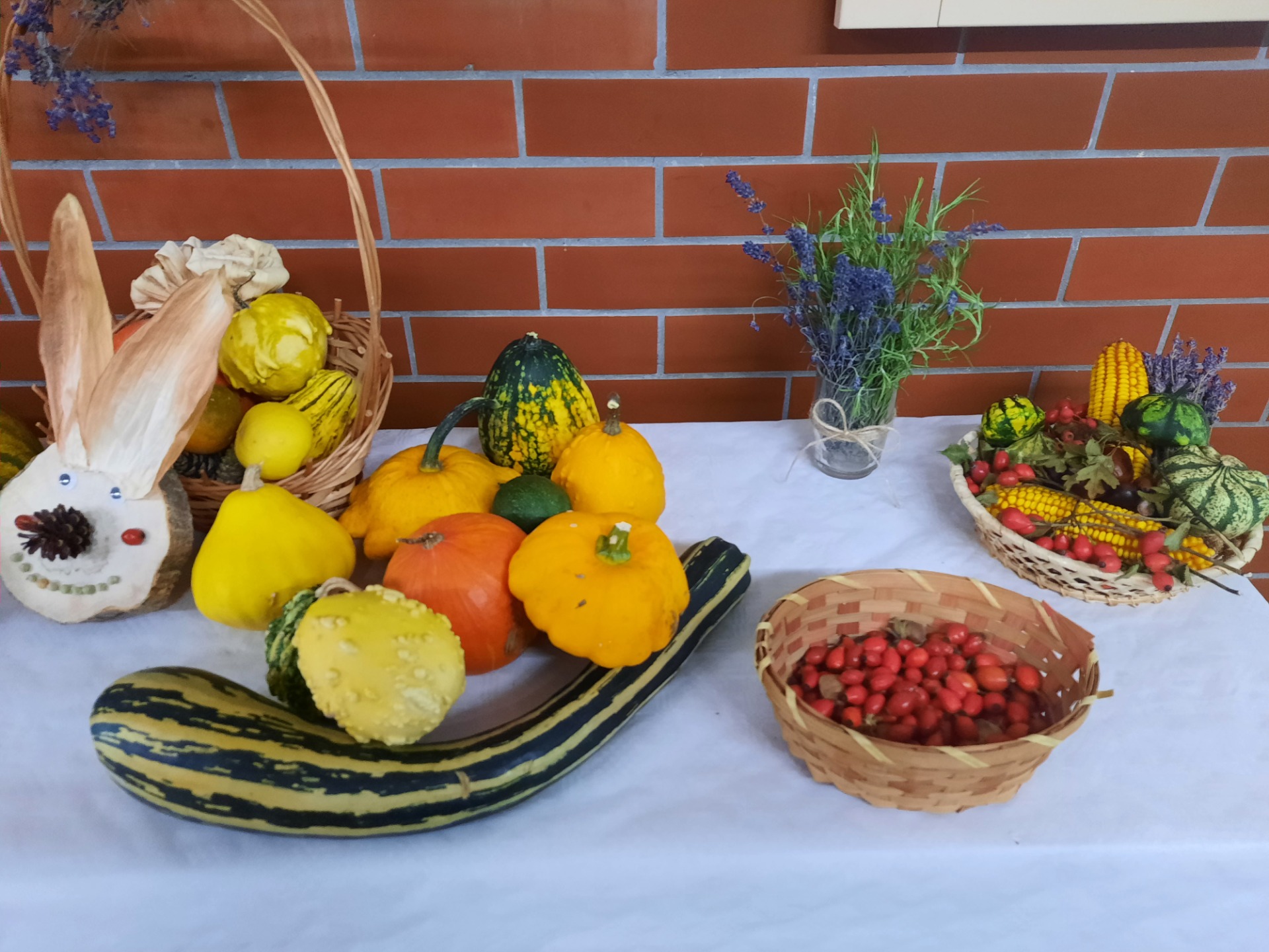 Jesenná výstavka plodov - Obrázok 2