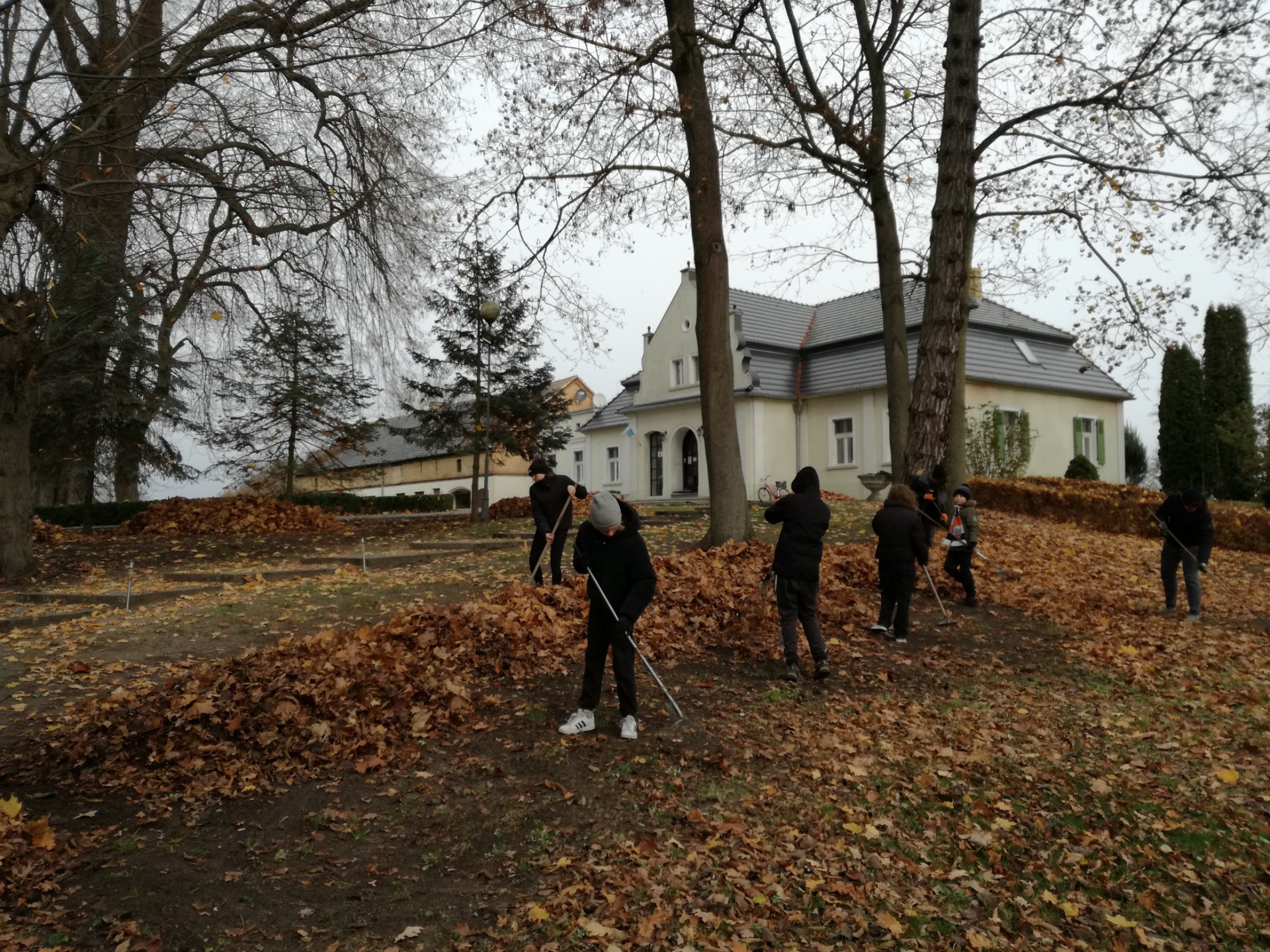 Wolontariusze porządkują park przy plebanii 19.11.2022 - Obrazek 2